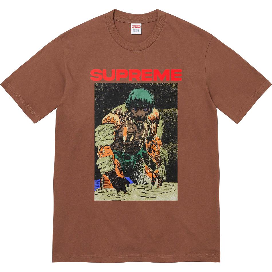 Supreme Ronin Tee Tシャツ ブラウン | JP240ZG