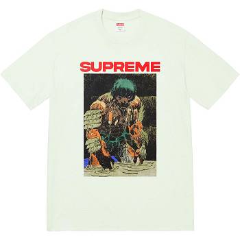 Supreme Ronin Tee Tシャツ Mint | JP238KI